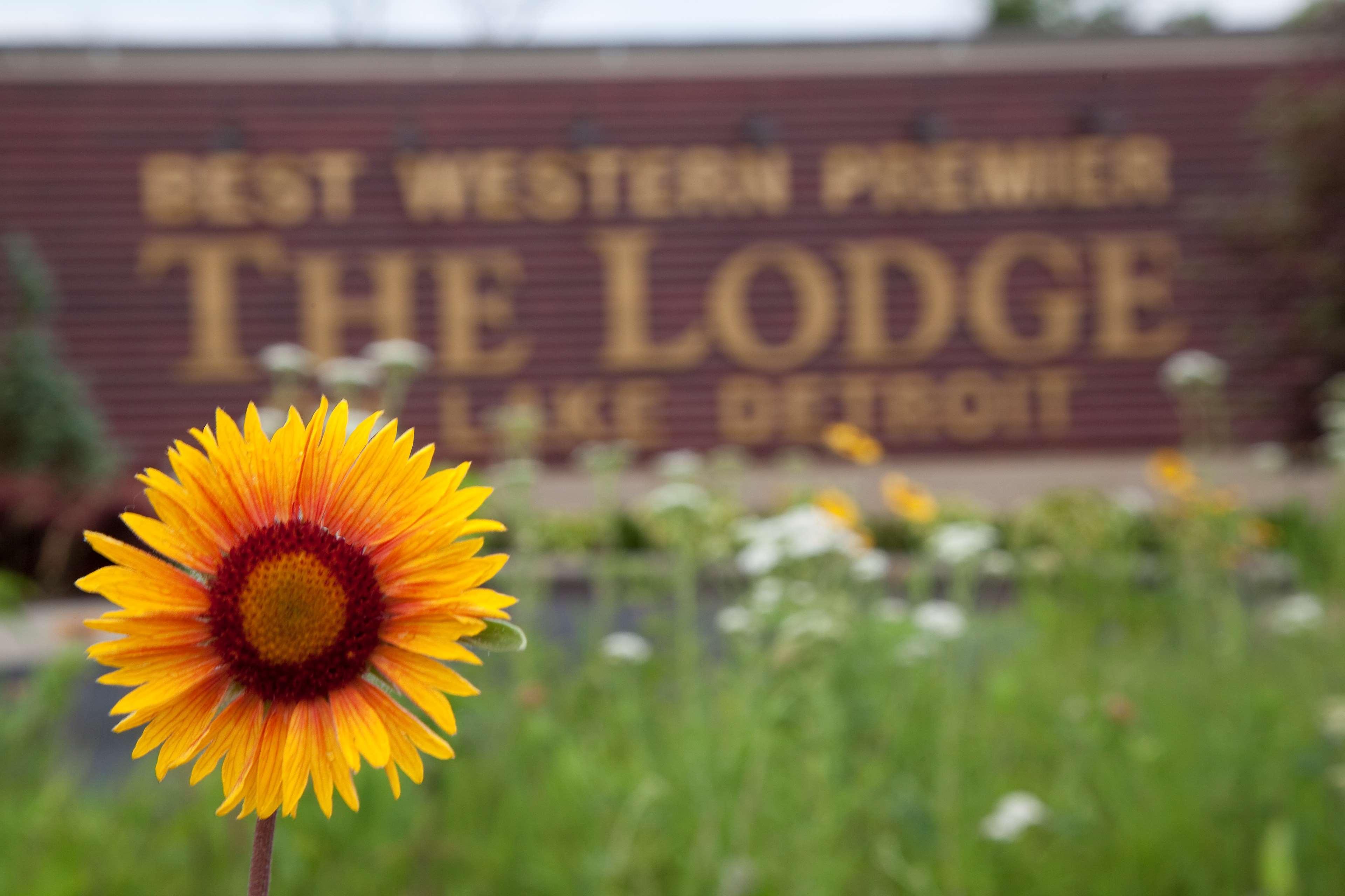 Best Western Premier The Lodge On Lake Detroit Detroit Lakes Ngoại thất bức ảnh